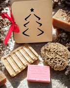 The Xmas Luxe Set - Aqua Zoi