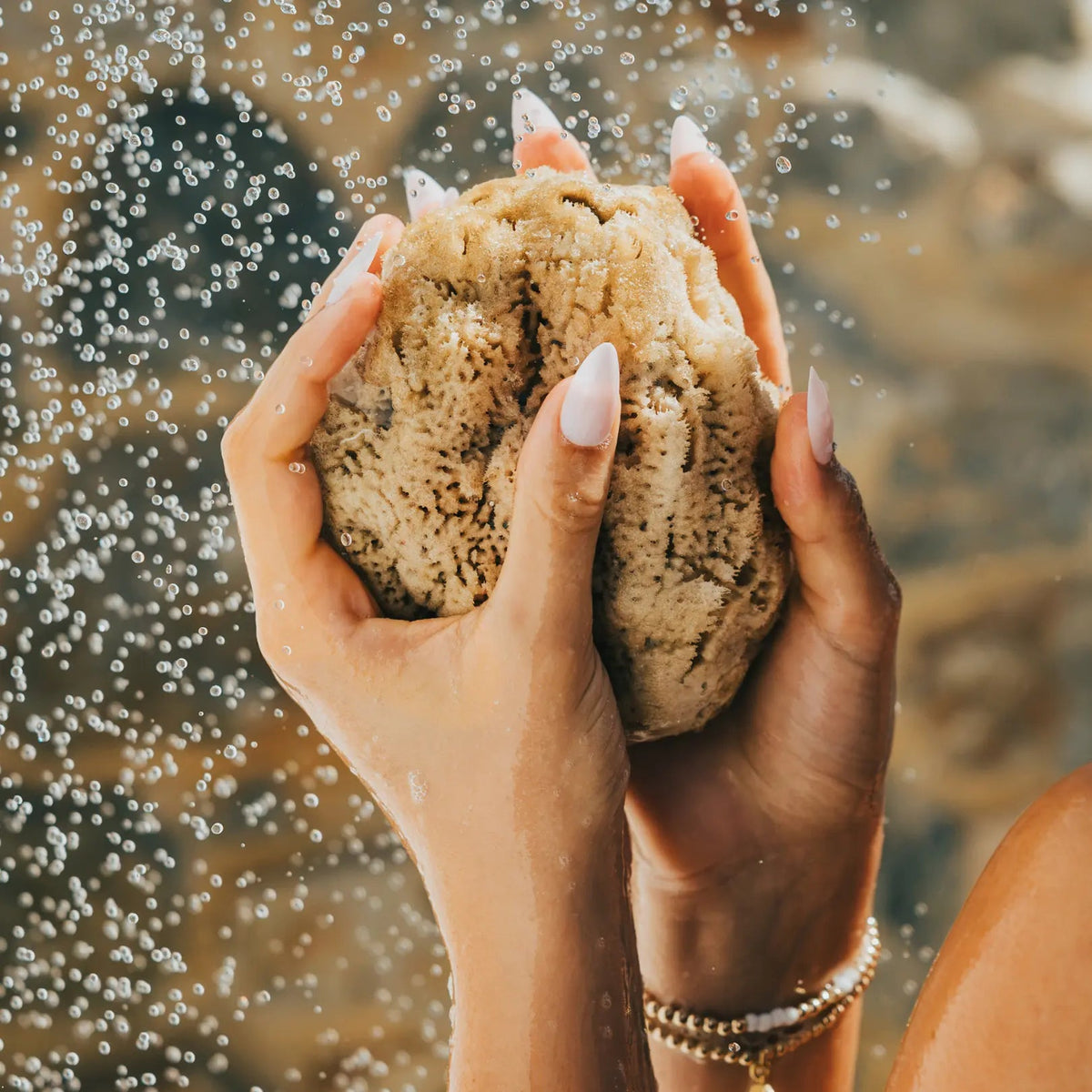 Wild Sea Natural Exfoliating Sea Sponge - Aqua Zoi